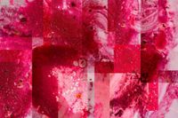 Rote Rete Collage 100x150_low